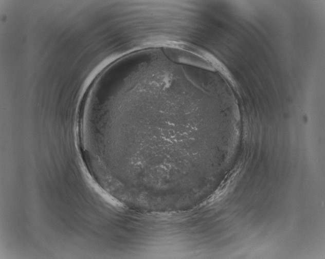 X0000068890955200605081316