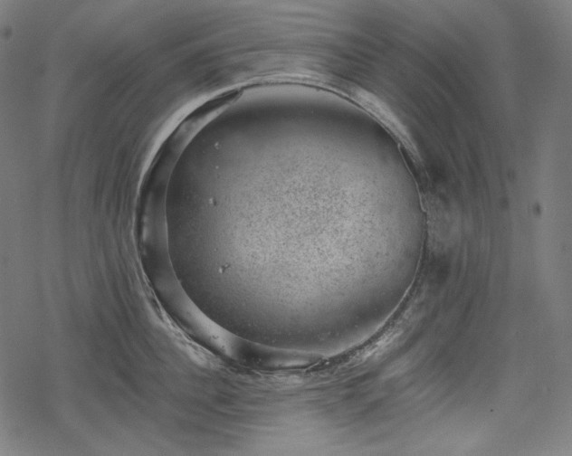 X0000068890956200605081316