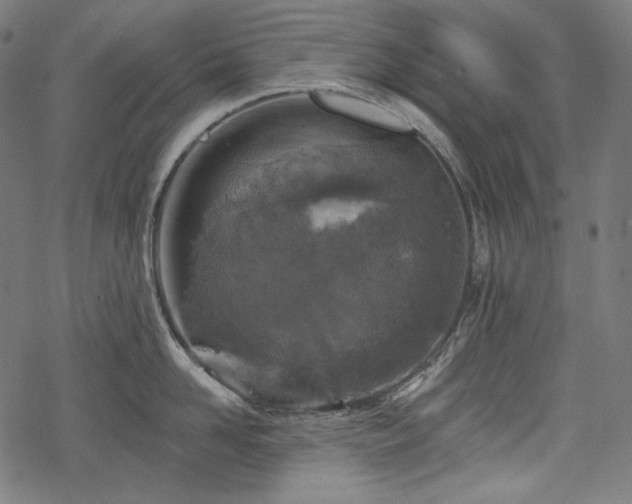 X0000068890958200605081316