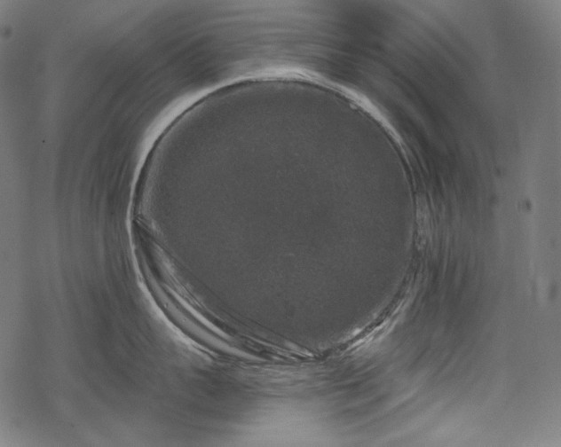 X0000068890959200605081316