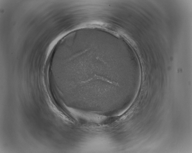 X0000068890960200605081316