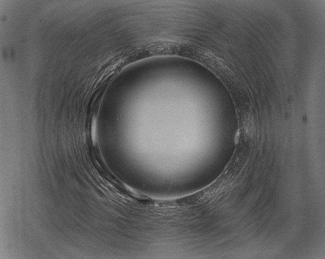 X0000068890964200605081315