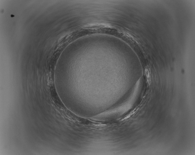 X0000068890965200605081315