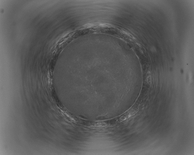 X0000068890966200605081315