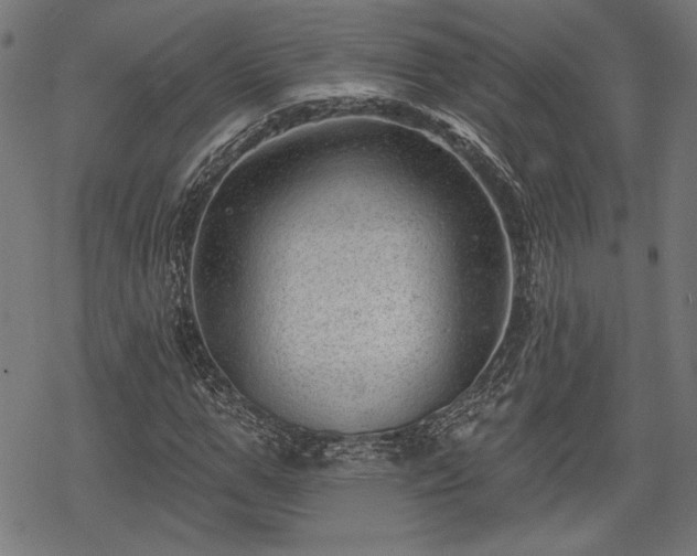 X0000068890967200605081315