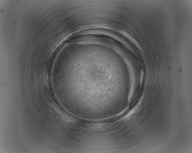 X0000068890969200605081315