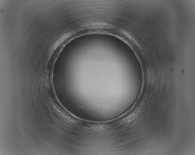 X0000068890970200605081315