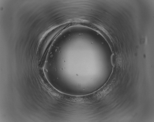 X0000068890971200605081315