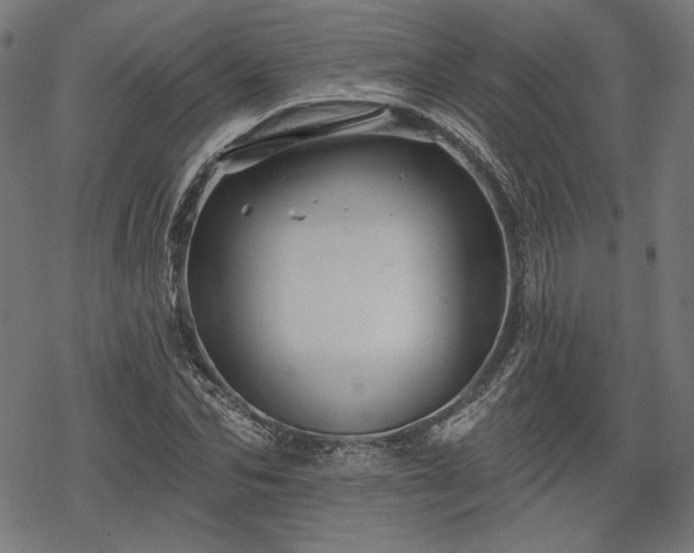 X0000068890974200605081315