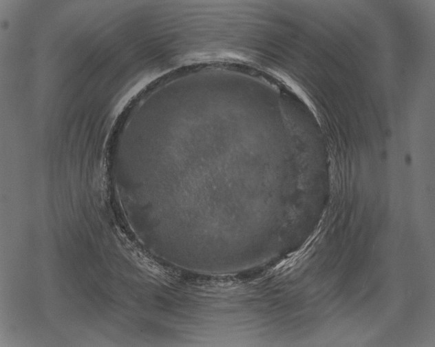 X0000068890975200605081315