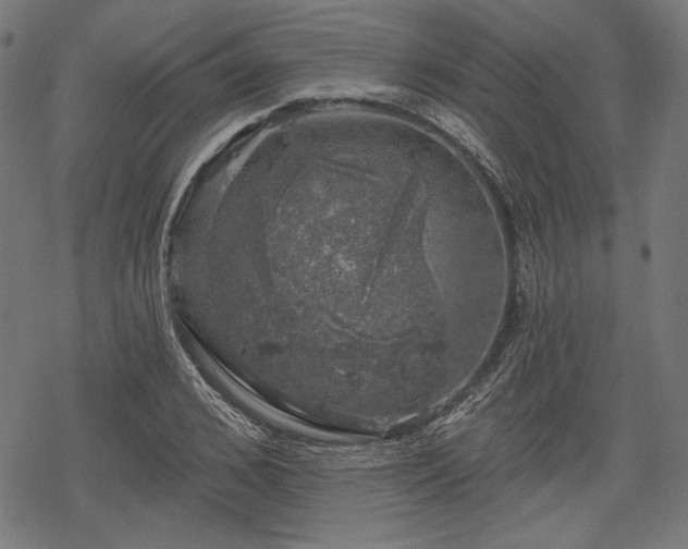 X0000068890976200605081315