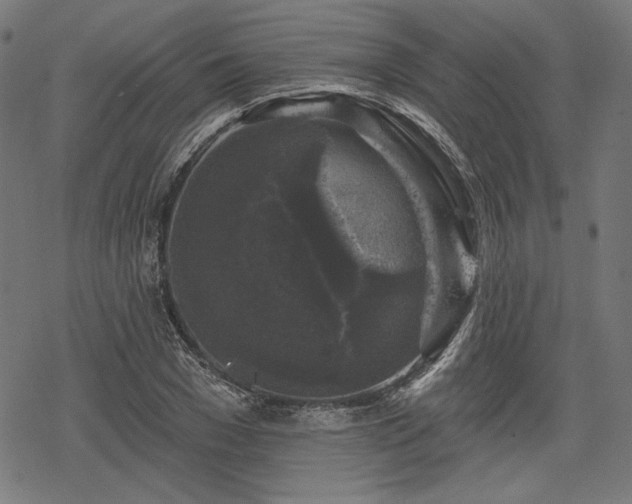 X0000068890977200605081315