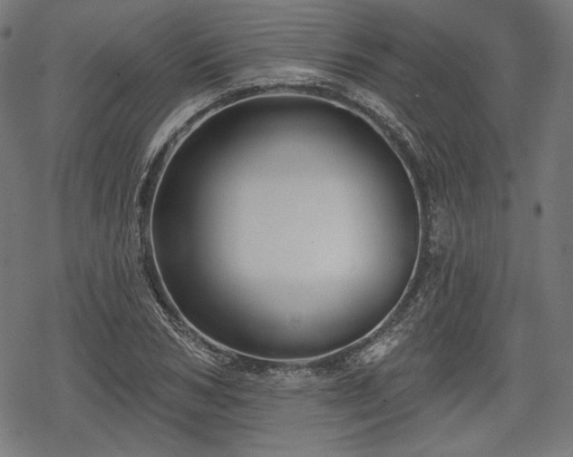 X0000068890978200605081315