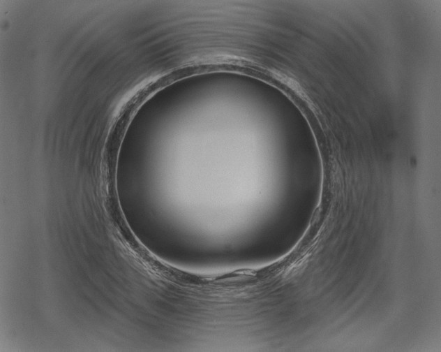 X0000068890979200605081315