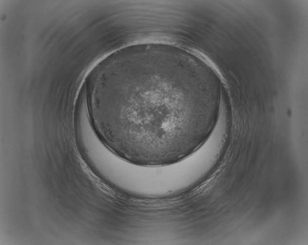 X0000068890980200605081315