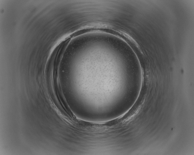 X0000068890981200605081315