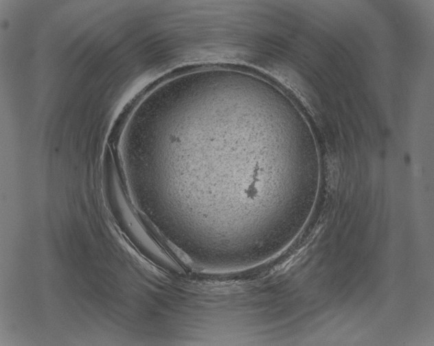 X0000068890982200605081315