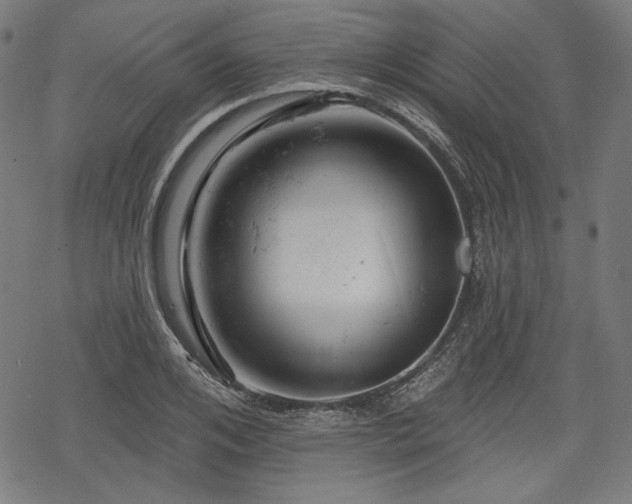 X0000068890984200605081315