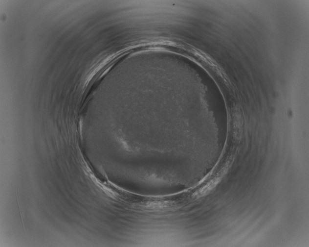 X0000068890985200605081315