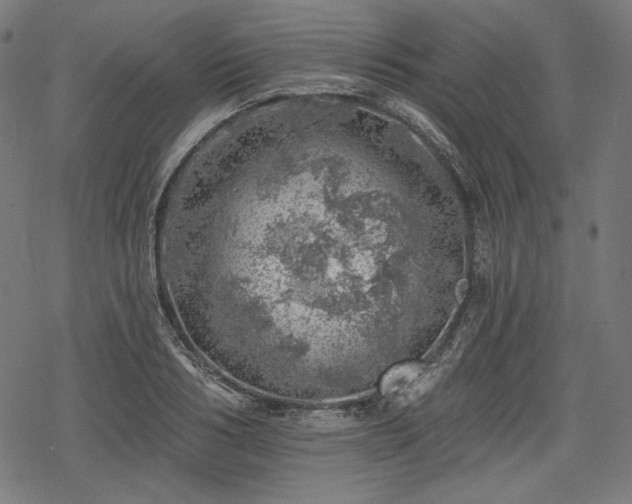 X0000068890986200605081315