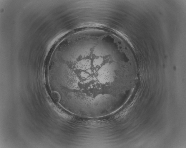 X0000068890987200605081315