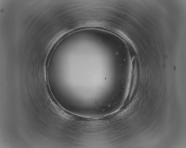 X0000068890988200605081315