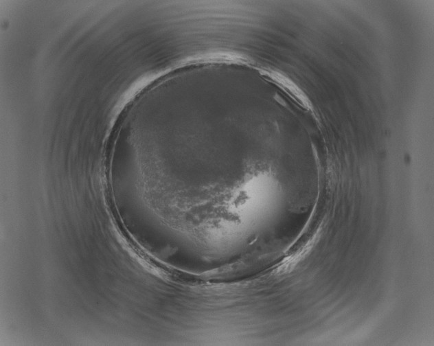 X0000068890989200605081315