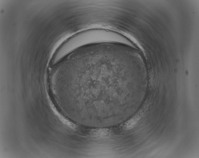 X0000068890991200605081315