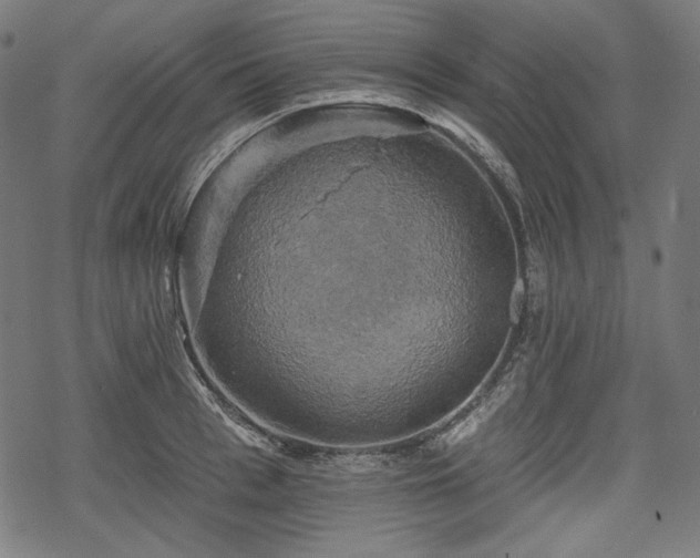 X0000068890993200605081315