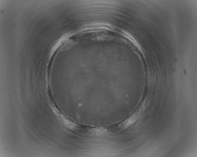 X0000068890994200605081315