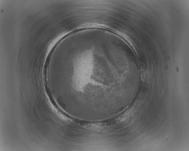 X0000068890995200605081315