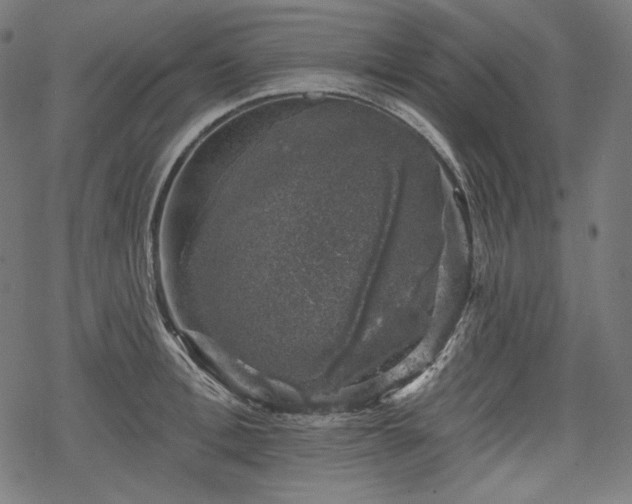 X0000068890996200605081315