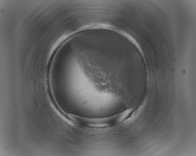 X0000068890997200605081315