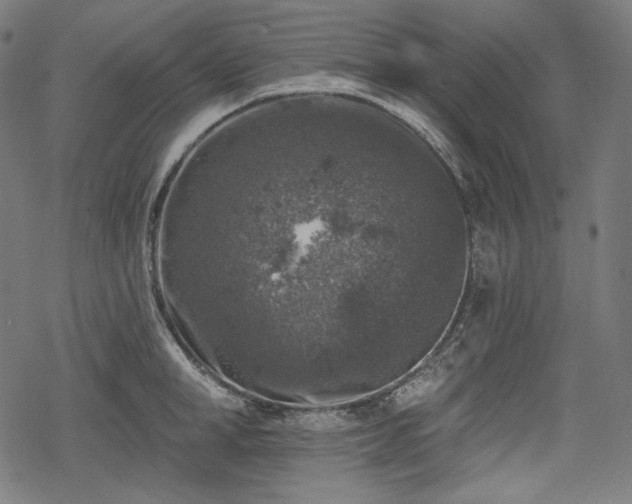 X0000068890998200605081315