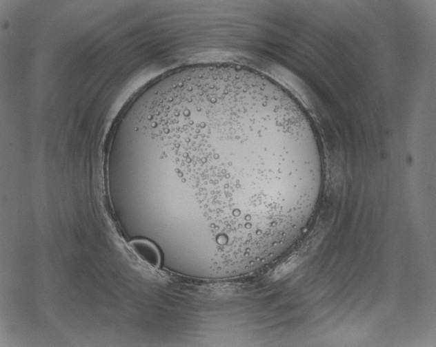 X0000068891000200605081315