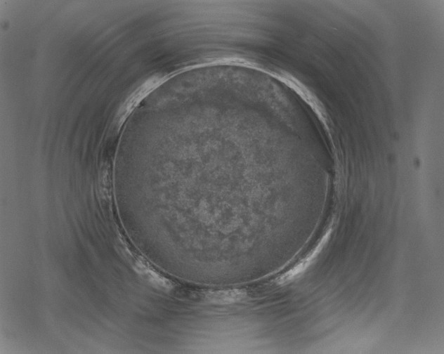 X0000068891001200605081315