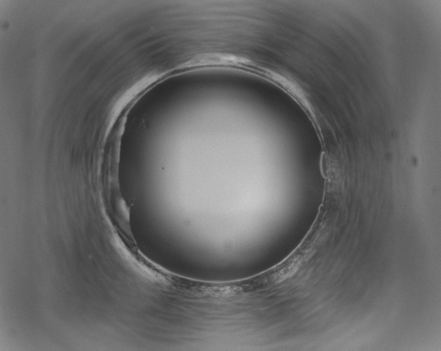 X0000068891003200605081315