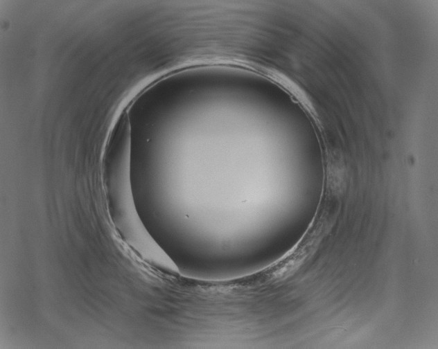 X0000068891004200605081315