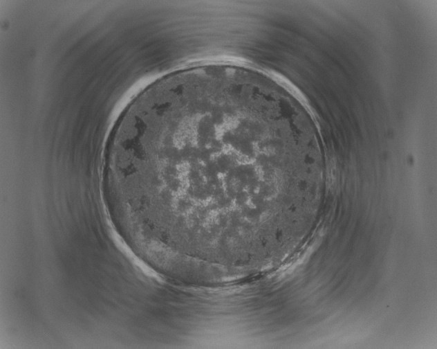 X0000068891005200605081315