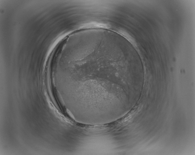 X0000068891008200605081315