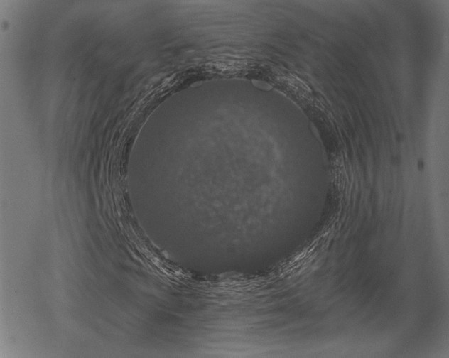 X0000068891009200605081314