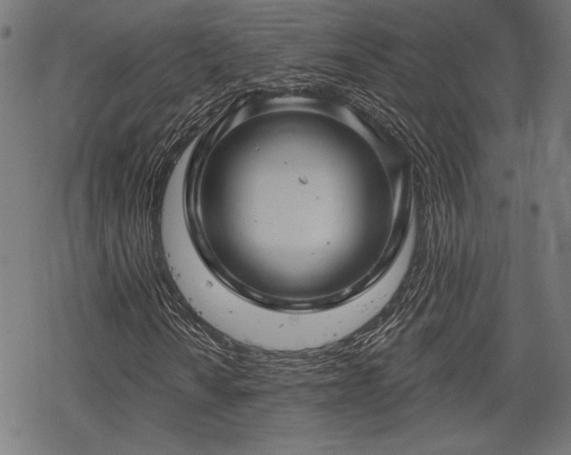 X0000068891010200605081314