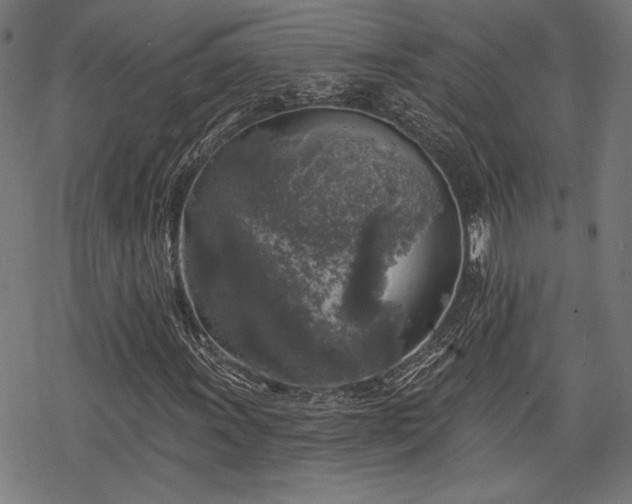 X0000068891011200605081314