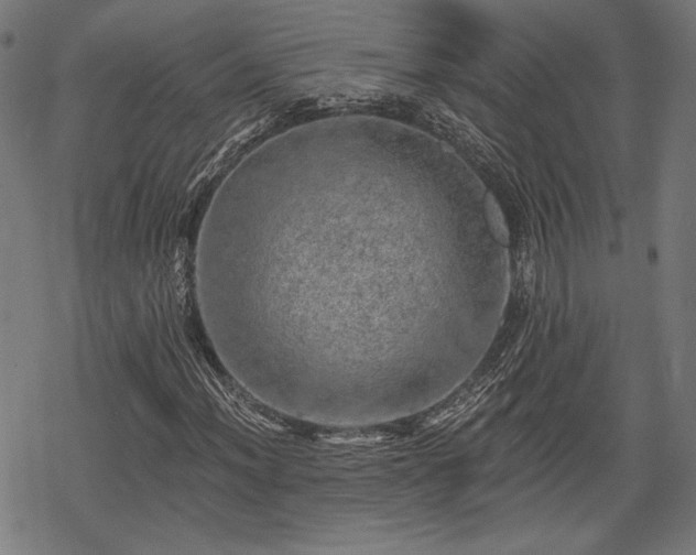 X0000068891012200605081314