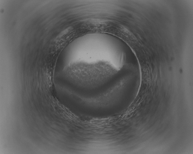 X0000068891013200605081314