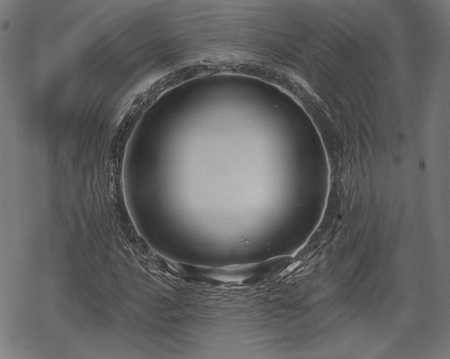 X0000068891016200605081314