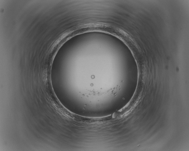 X0000068891017200605081314