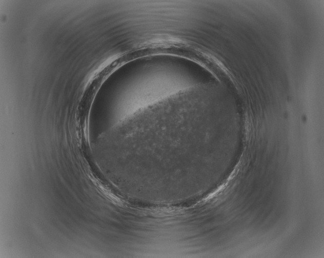 X0000068891018200605081314