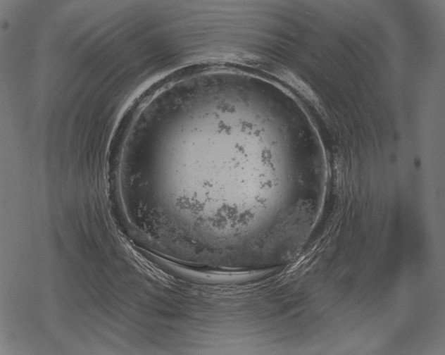 X0000068891020200605081314