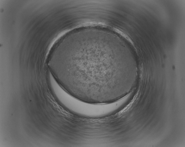 X0000068891021200605081314